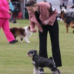 NZ Ch Schnauzinn Breathtaking